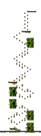 小地图